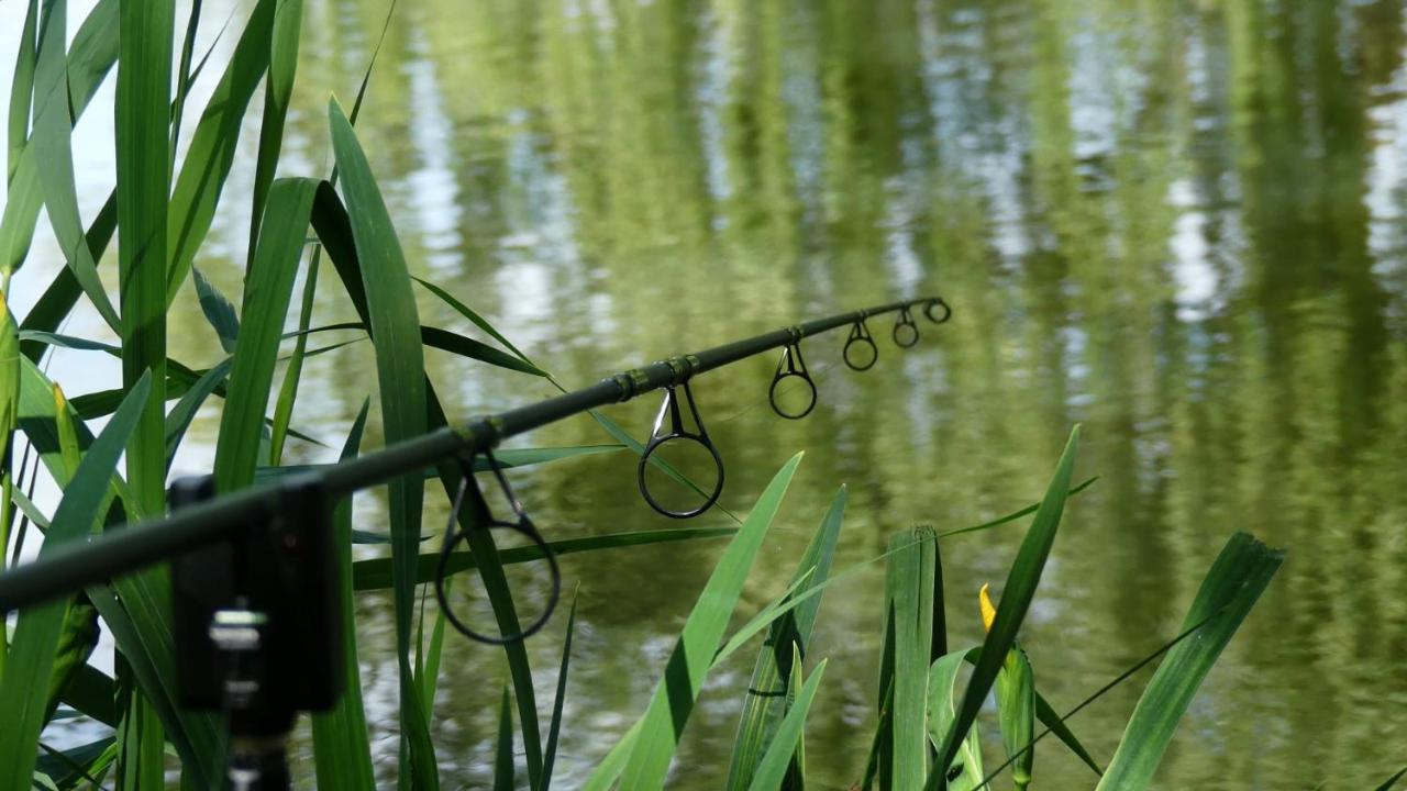 فندق Rum Bridge Fisheries "The Cabin" كلير المظهر الخارجي الصورة